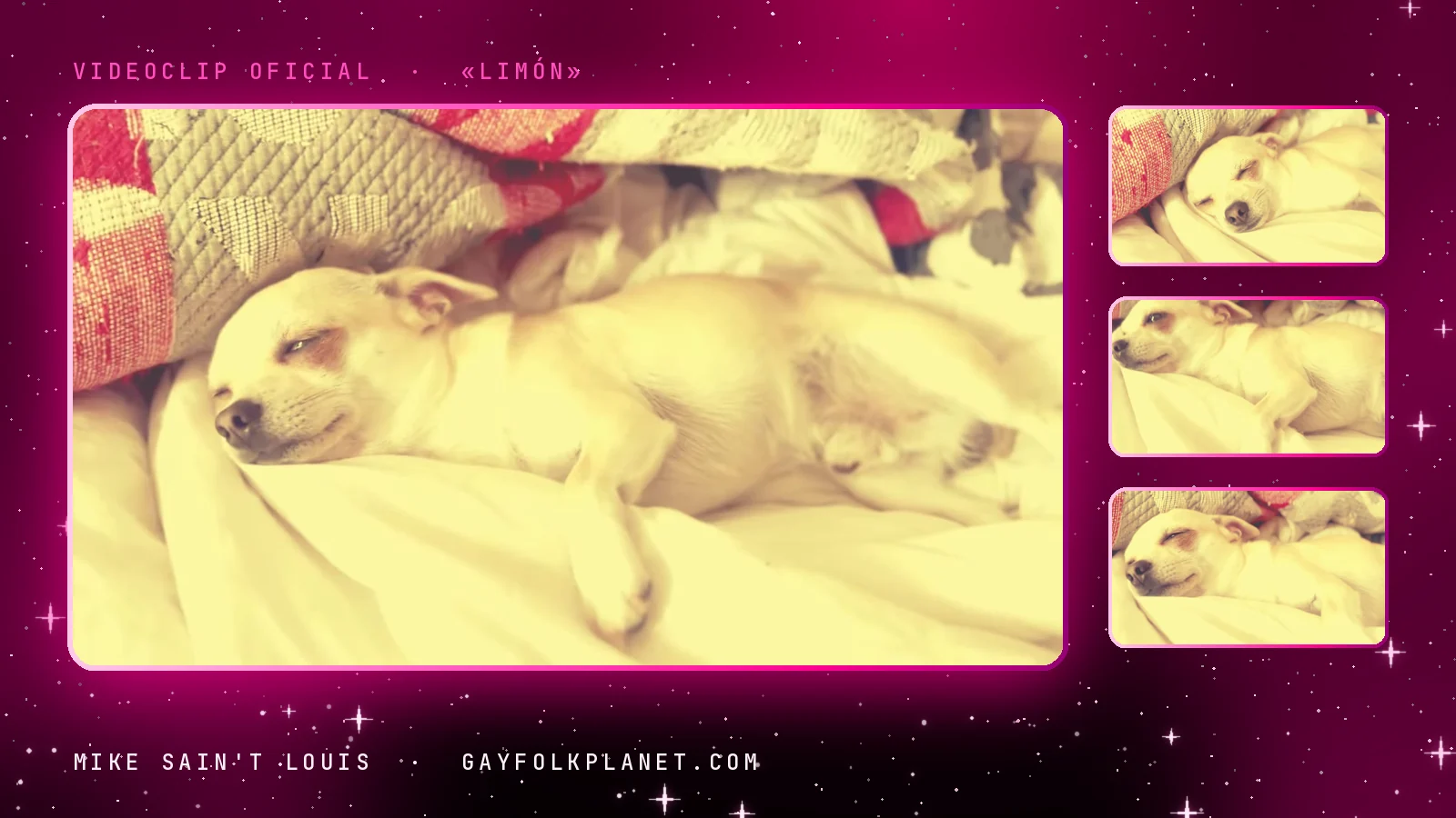 Fotograma del videoclip de «Limón»: un chihuahua de pelo claro duerme con los ojos cerrados sobre una sábana blanca arrugada, junto a cojines de punto rojos y grises, bañado en una luz cálida amarillenta, con tres miniaturas del mismo perro en la cama